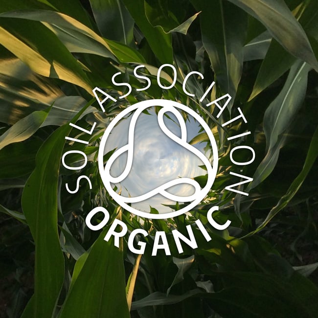 organic-pic.jpg